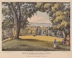 "View of the botanic garden in St Vincent", from "An account of the botanic garden in the island of St Vincent, from its first establishment to the present time" by Lansdown Guilding. Glasgow: Richard Griffin & Company, 1825