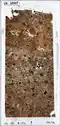 Micromorphological thin-section Lst-10307.