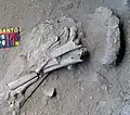Burial 5. Excavation at phase 8.