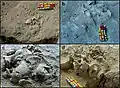 Burial 11 - Field pictures.