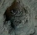 Burial 12. Excavation at phase 8.