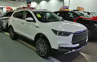Leopaard Mattu