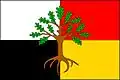 Flag of Leskovec nad Moravicí