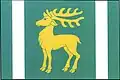 Flag of Lhánice