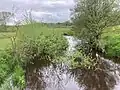 Fish trap near Lieveren