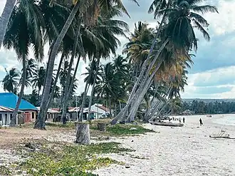 Lindi Town bay side