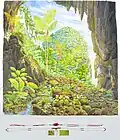 Looking Out from Deer Cave, Mulu—Six Days, 2015