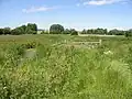 Preston Marshes