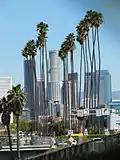 Oldest palms in Los Angeles, planted circa 1875