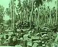 The landing area crowded with supplies immediately following the invasion