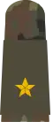 Matrose OA (Seaman Recruit OA mounting strap, with embroidered nautical star)