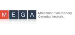 White sans-serif capital letters spelling MEGA, each in a separate square, colored one red and three black, respectively.
