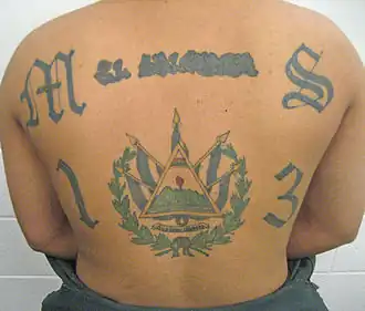 A man facing away from the camera showing a series of tattoos on his back. The tattoos include the name of the criminal gang MS-13, the country name of "El Salvador", and the coat of arms of El Salvador.
