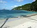 Palm tree shadows at Magens