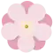 2004