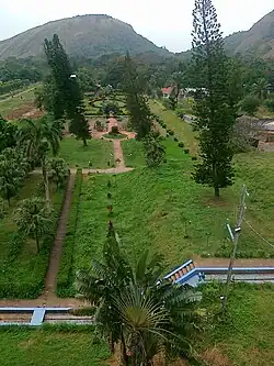 Garden with a mountain background