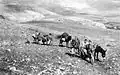 Yiftach Brigade bringing supplies to kibbutz Manara, 1948