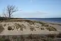 Sand dunes