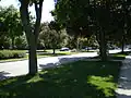 Tree-lined Boulevard divides up two-way traffic