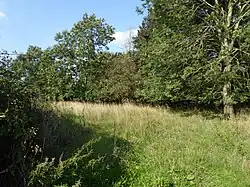 Mattishall Moor