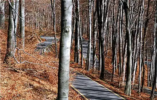 Road to Sljeme