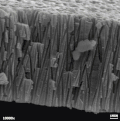 Three membranes perforated at two strutting angles (±10, ±20, ±45 degrees).