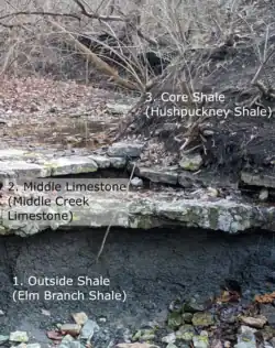 the first three stages of a typical cyclothem as found in eastern Kansas and western Missouri