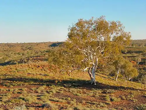 View of National Park