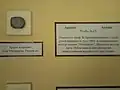 The mineral ardaite on display at the National Museum of Natural History, Bulgaria