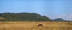 Mogotes, Northern Matanzas Province, near the city of Cárdenas, Cuba