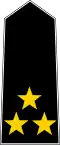 Captain