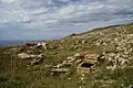 Necropolis