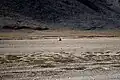 A four-wheel drive vehicle taken with a 300 mm telephoto lens shows the vast expanse of More plains and the size of the mountains that flank it.