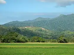 Morong landscape
