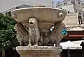 The Lions