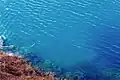About 4&nbsp;m (13&nbsp;ft) above the lake's surface