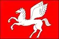 Flag of Mrákotín