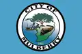 Flag of Mulberry, Florida