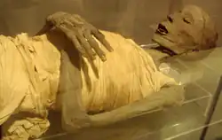An upper-class Egyptian male, often referred as "Usermontu"