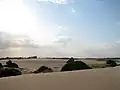 Sand dunes at Myall Lakes National Park