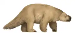 Life reconstruction of Mylodon,