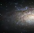 Part of NGC 3621 imaged by HST.[16]