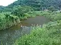 A natural pond in Rio Grande da Serra