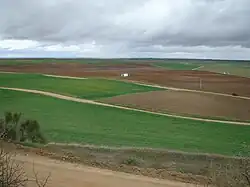 Cultivated fields