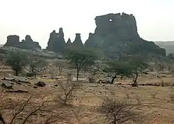 Landscape in Hodh El Gharbi (near Ayoun)
