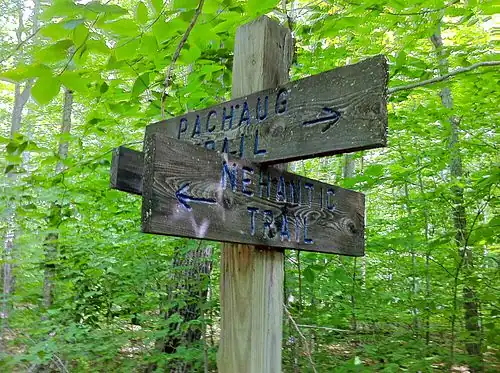 Nehantic & Pachaug shared trail portion's western junction.