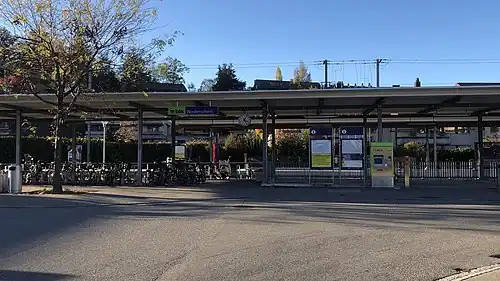 Canopy-covered platform