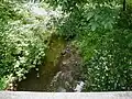 Nine Mile Run crossing Claremont Road
