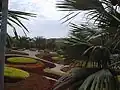 Decorative Landscaping at Nong Nooch Tropical Botanical Garden