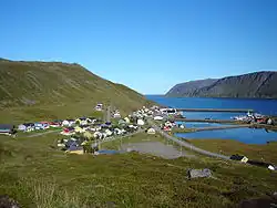 Skarsvåg village with some of the world's northernmost trees